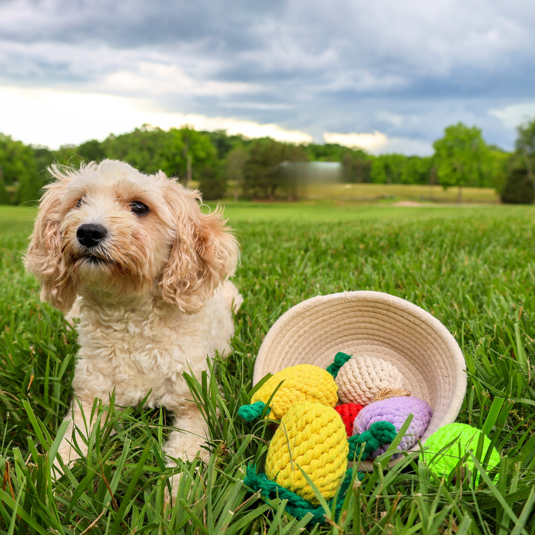 Fruity Delights Artisan Rope Toys