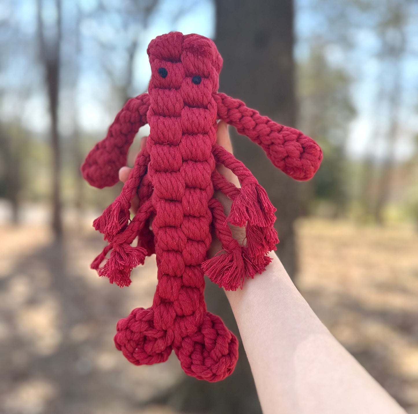 Rose the Lobster Pet Rope Toys