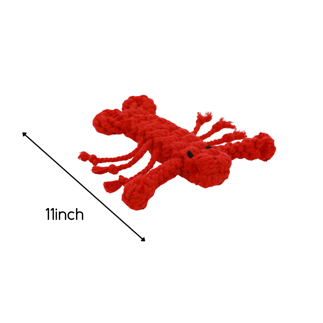 Rose the Lobster Pet Rope Toys
