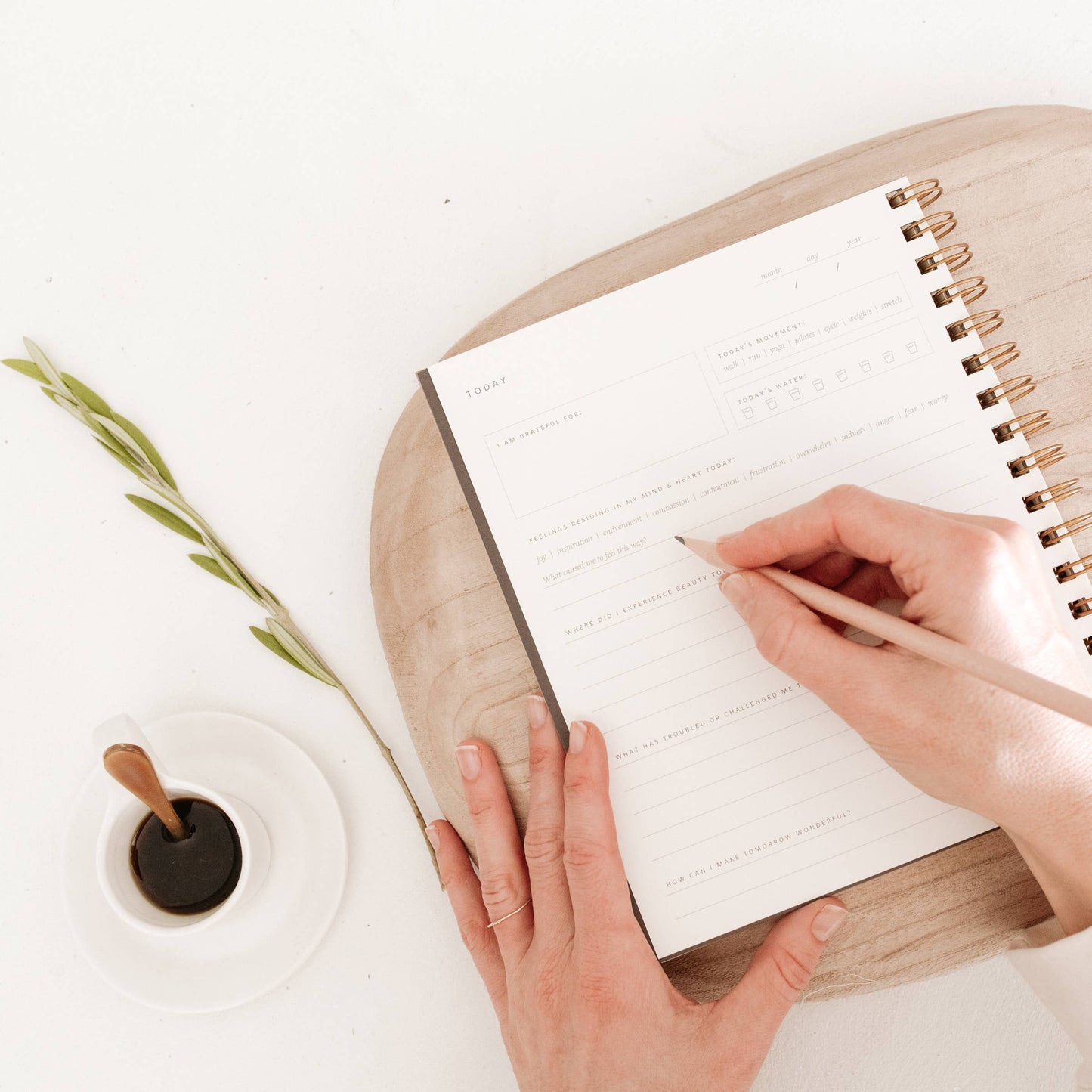 Daily Pause Journal—Your Path to Mindful Living and Gratitude