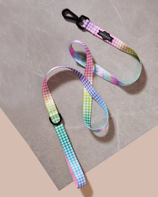 Rainbowtooth Dog Leash