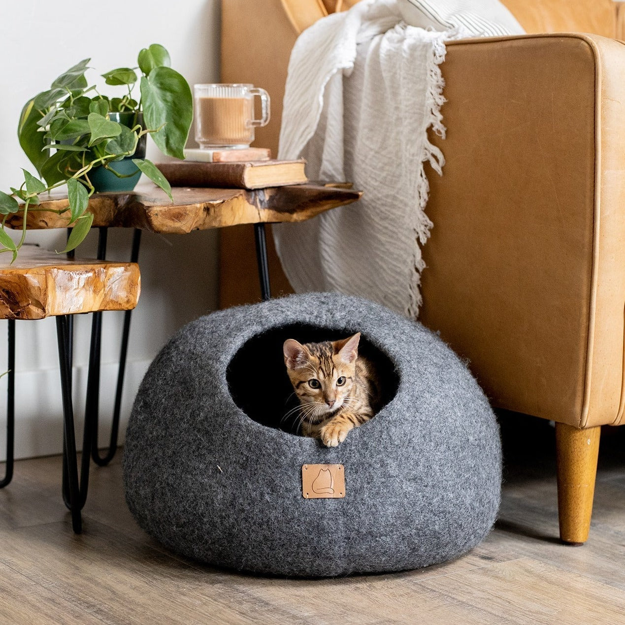 Stone Gray | Round Style Cave by Fuzzy Cove