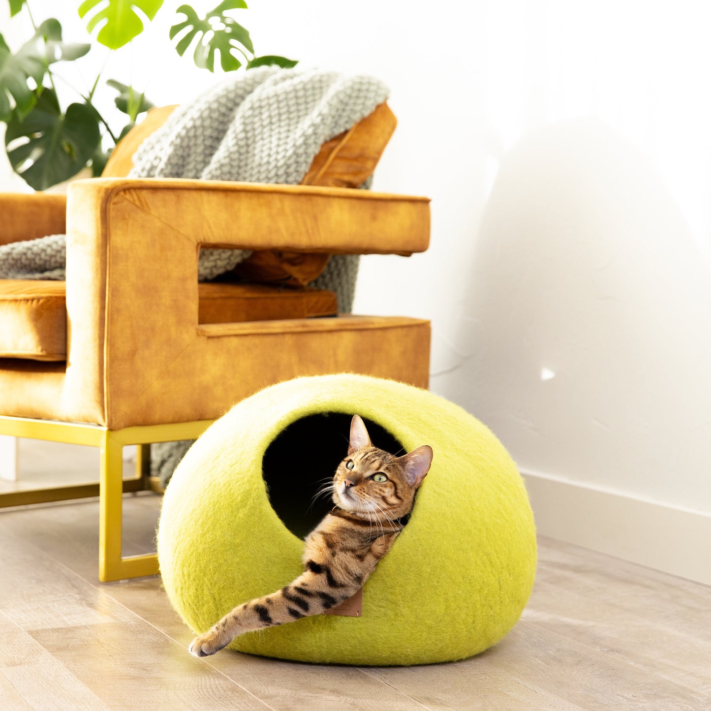 Citrus Green | Round Style Cave by Fuzzy Cove