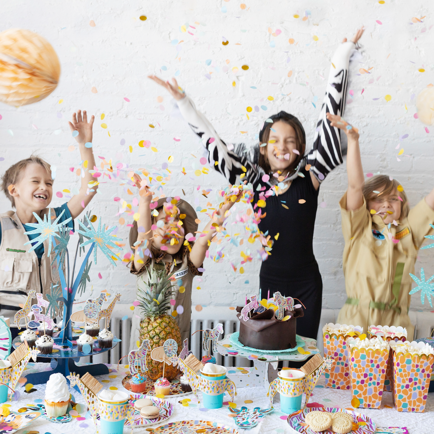 Safari Party Box