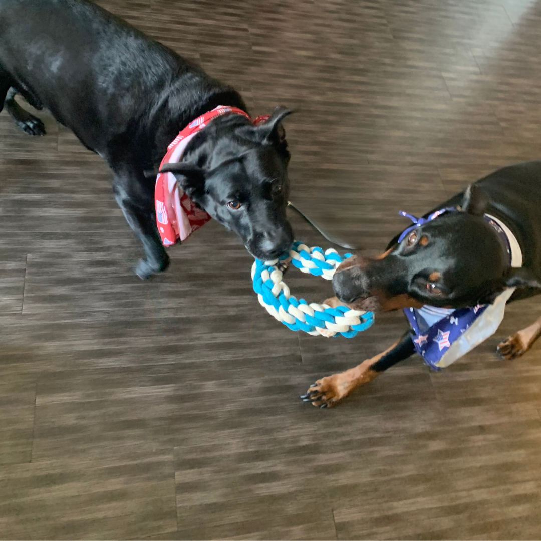 Sky and Cloud Rope Tug Toy Set