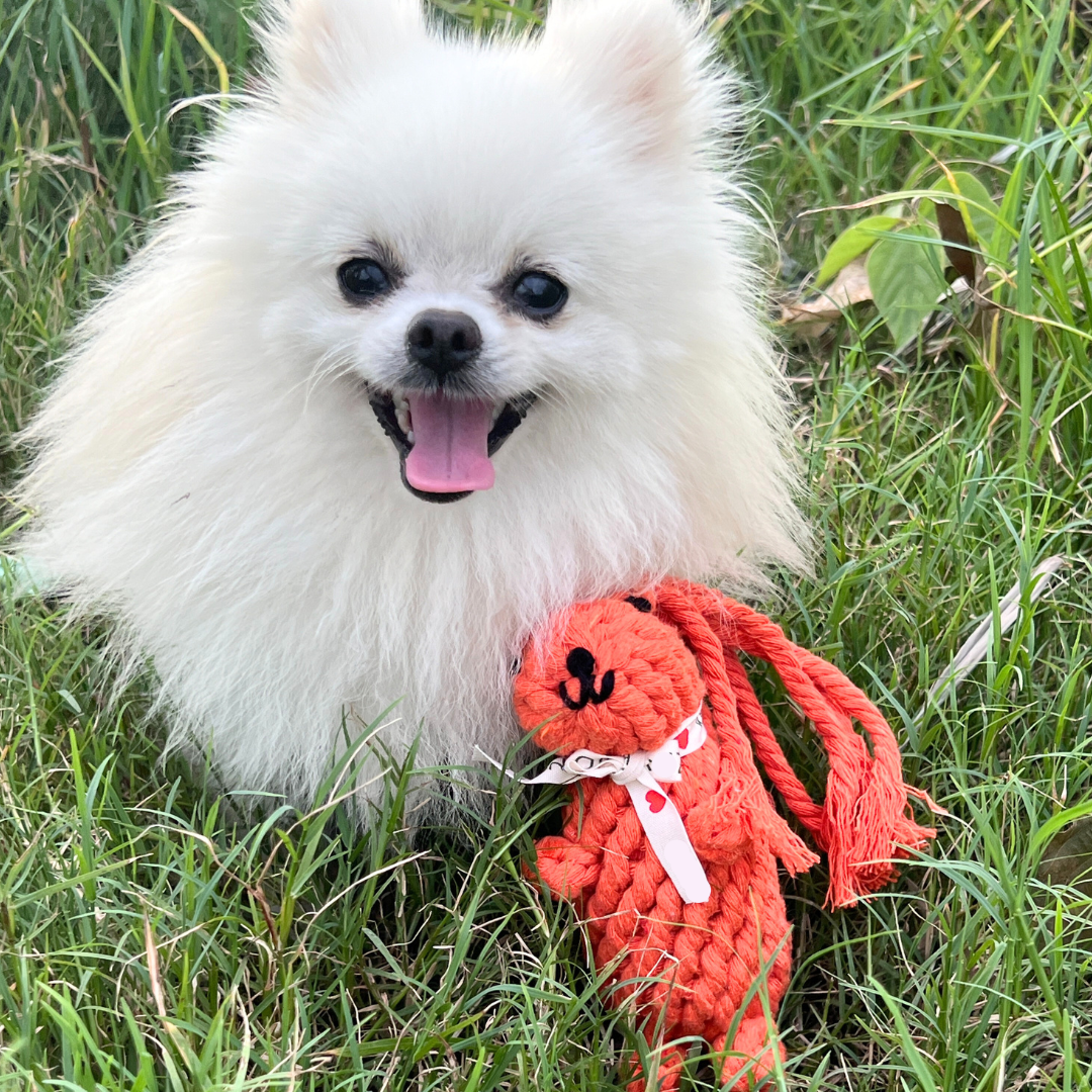 Oliver the Squirrel Rope Toy