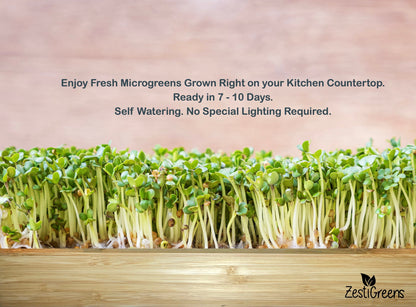 Microgreens Growing Kit Self Watering with 3 Mats & Your choice of Organic Seeds. No Soil Needed. Water Once. Ready to Eat in 7 Days.