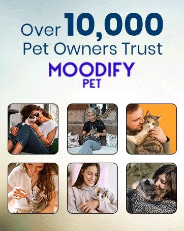 MoodifyPet Cat Litter Box Odor Neutralizer — 6 Pack (Whole-Home)