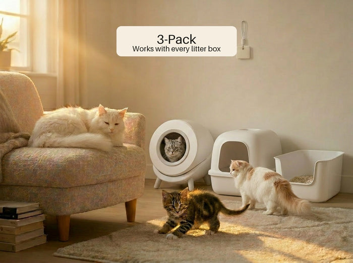 MoodifyPet Cat Litter Box Odor Neutralizer — 3 Pack (Multi-Cat)