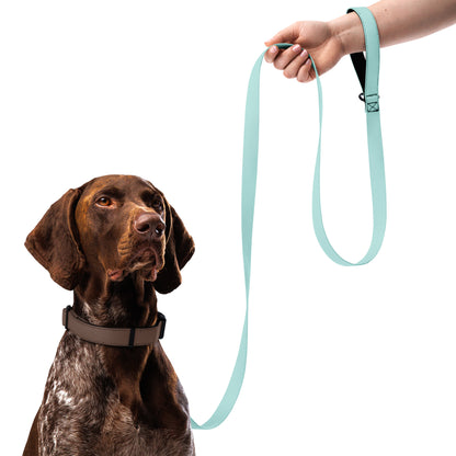 Pet leash | Pastel Collection