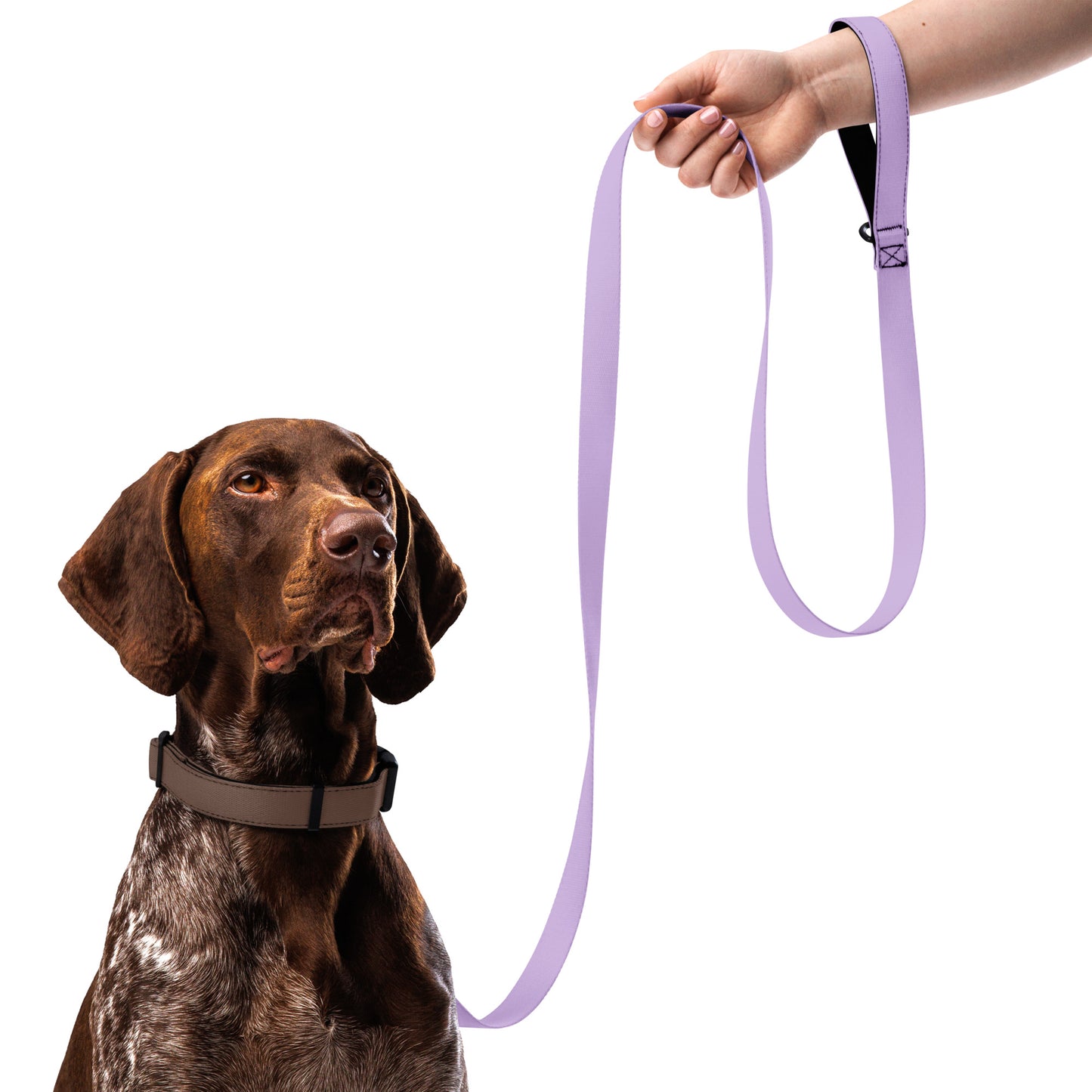 Pet leash | Pastel Collection