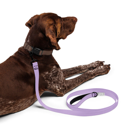 Pet leash | Pastel Collection