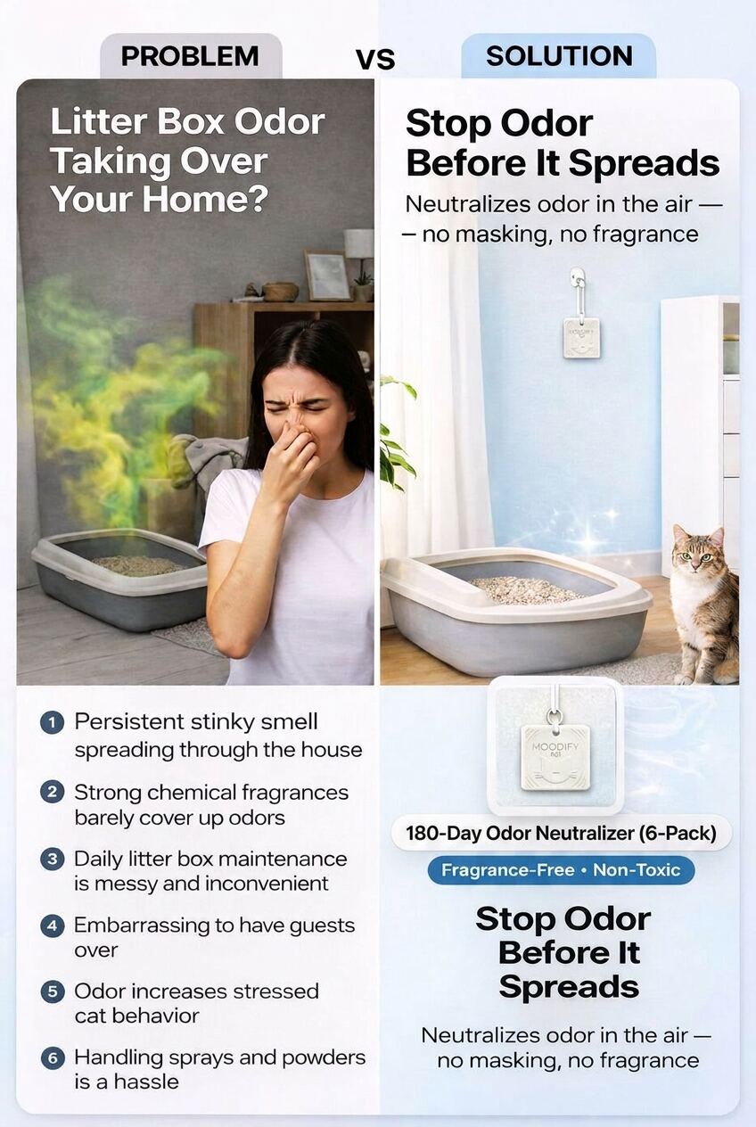 MoodifyPet Cat Litter Box Odor Neutralizer — 6 Pack (Whole-Home)