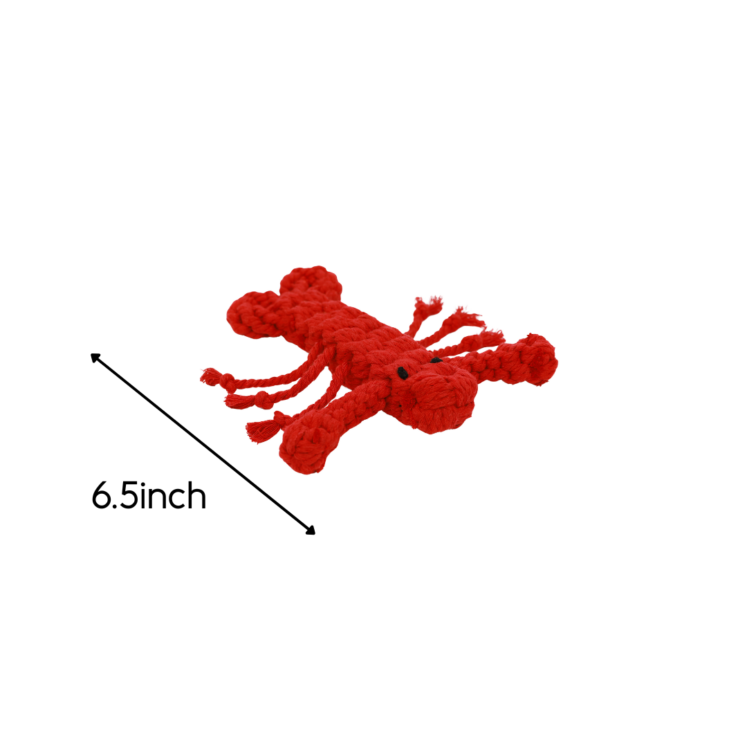 Rose the Lobster Pet Rope Toys
