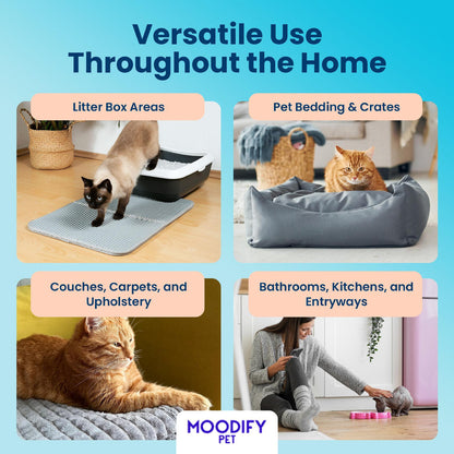 MoodifyPet Cat Litter Box Odor Neutralizer — 6 Pack (Whole-Home)